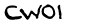 security_code